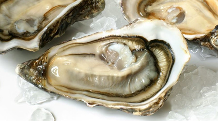 Oysters Cooked