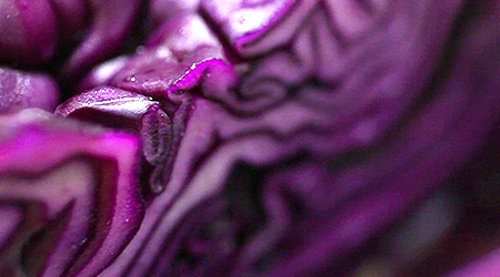red cabbage benefits