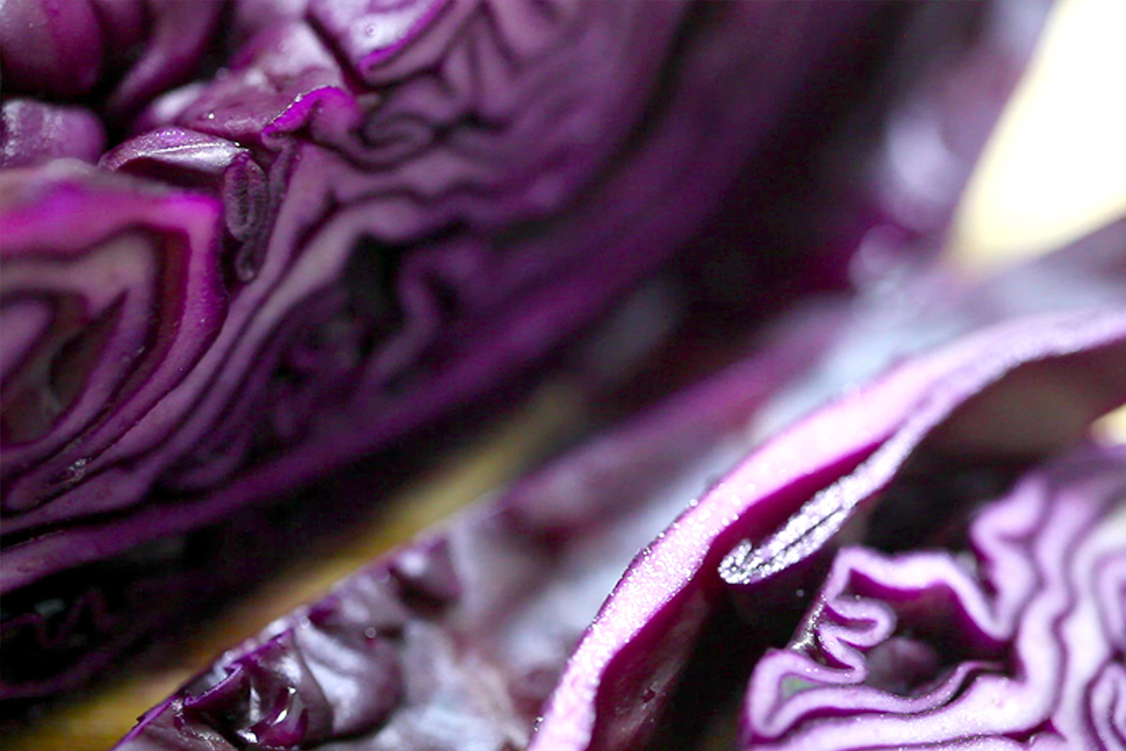 img/red cabbage health