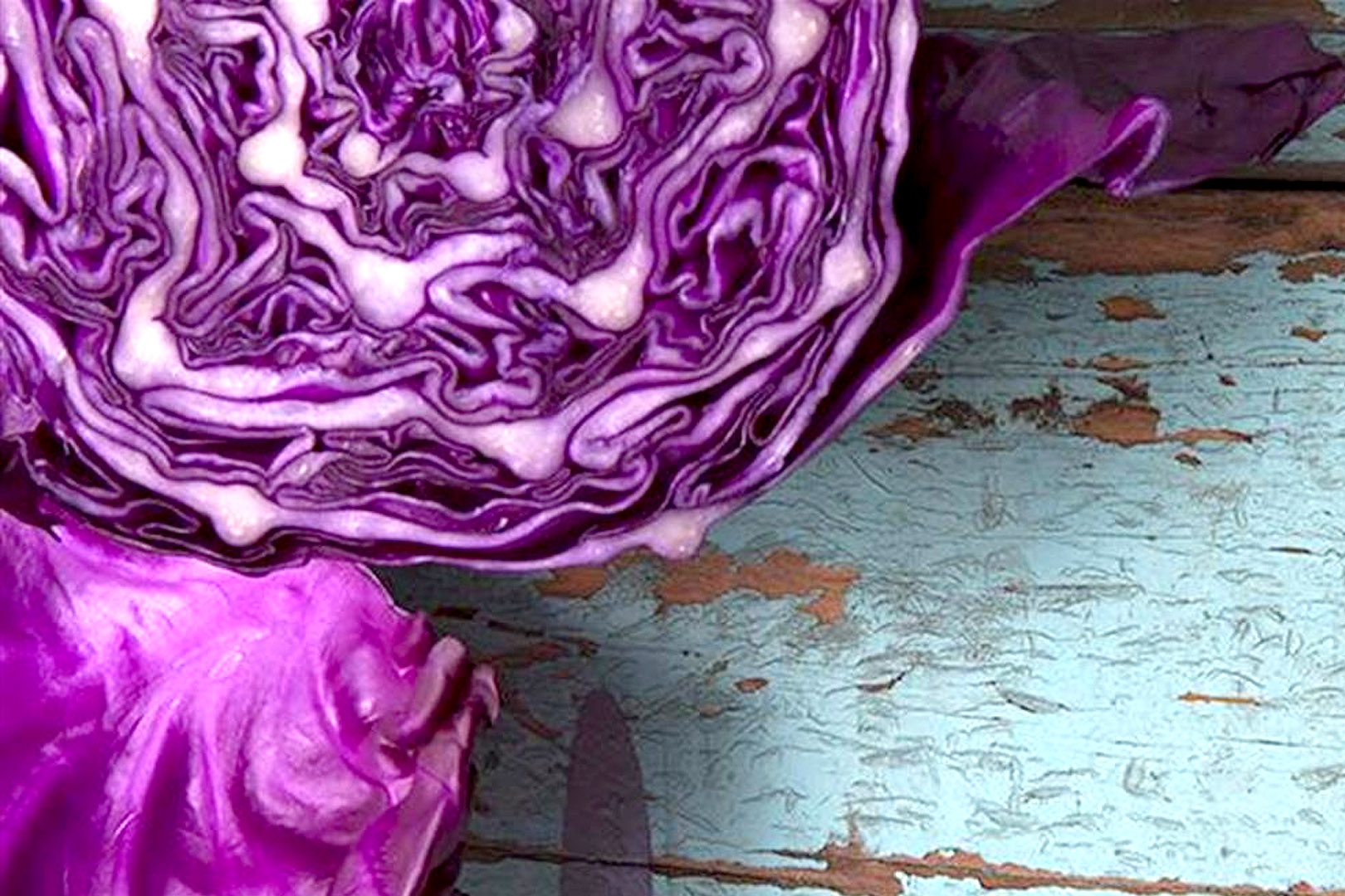 red cabbage preparation